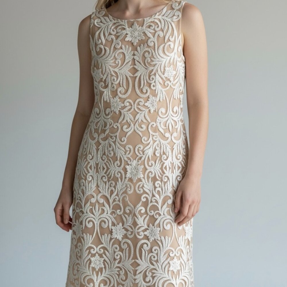 Adrianna Papell NWT Nude Sequin Embroidered Shea Neutral Sheath Dress size 6